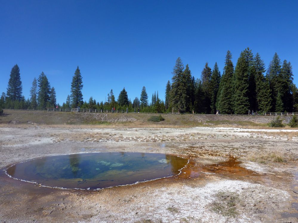 Yellowstone West Thumb Area (40).JPG